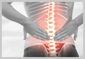 forest lake chiropractic