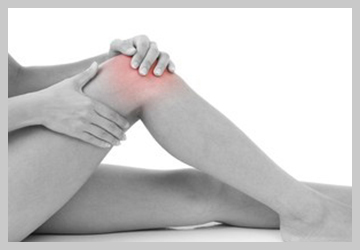 forest-lake-chiropractic